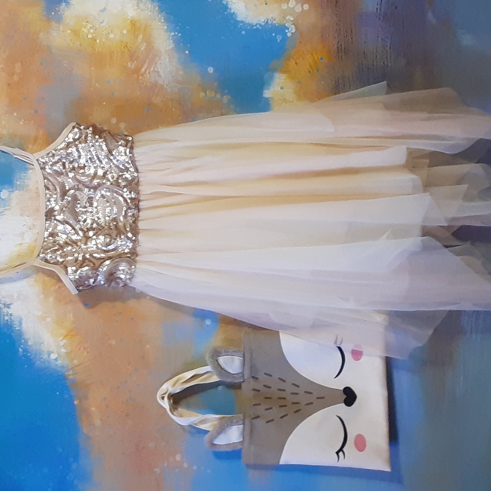 COMBO:Girls Tulle Dance, Flower girl, Easter Dress with Cute Easter Bag